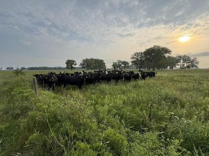 Farm and Ranch in Holt County, Nebraska
