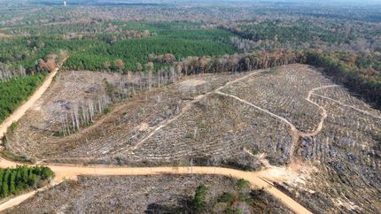 Recreational Property for sale in Russell County, Alabama