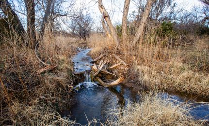 Land for sale in Knox County, Texas