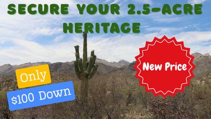 Undeveloped Land for sale in Navajo County, Arizona