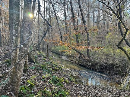 Timberland Property for sale in Elmore County, Alabama