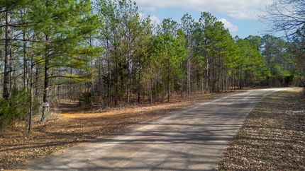 Undeveloped Land for sale in Henry County, Tennessee