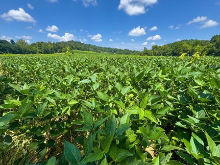 Hunting Property in Scioto County, Ohio