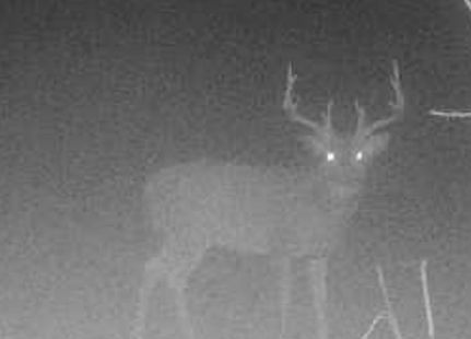 Farm and Ranch for sale in Cumberland County, Illinois