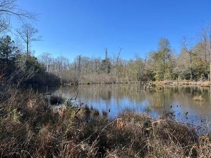 Undeveloped Land for sale in Pickens County, Alabama