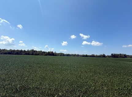 Land for sale in Gallatin County, Illinois