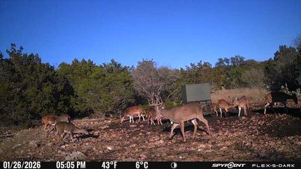 Hunting Property for sale in Edwards County, Texas