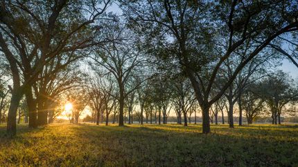 Land for sale in Williamson County, Texas