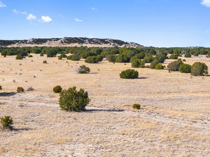Land for sale in Las Animas County, Colorado