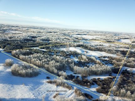 Land for sale in Clearwater County, Minnesota