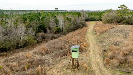 Timberland Property for sale in Telfair County, Georgia