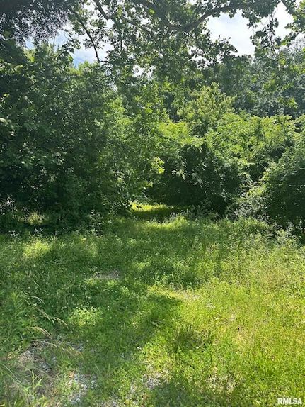 Homesite for sale in Union County, Illinois