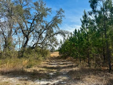 Hunting Property for sale in Madison County, Florida