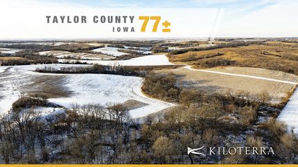 Land for sale in Taylor County, Iowa