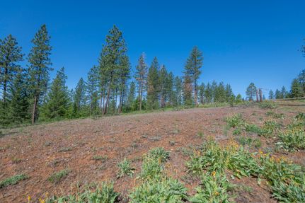 Recreational Property for sale in Adams County, Idaho