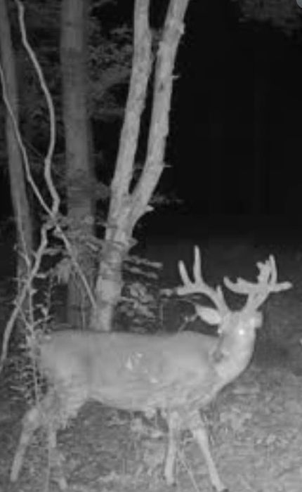 Recreational Property for sale in Hardin County, Illinois
