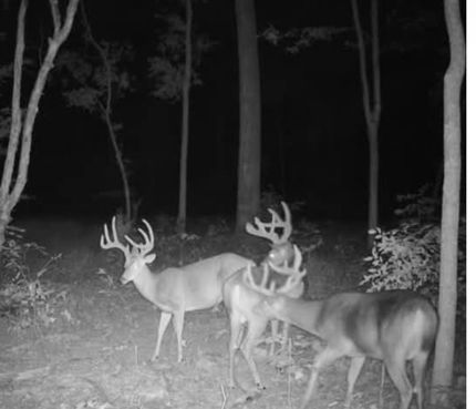 House for sale in Hardin County, Illinois