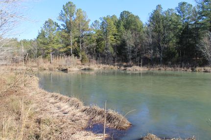 Land for sale in Tuscaloosa County, Alabama