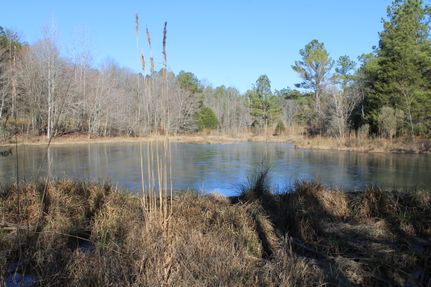 Land for sale in Tuscaloosa County, Alabama