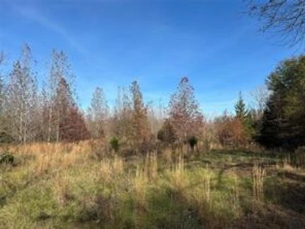 Farm and Ranch for sale in Red River County, Texas