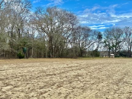 Timberland Property in Laurens County, Georgia