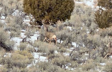Farm and Ranch for sale in Garfield County, Colorado