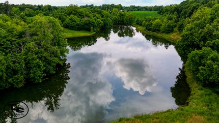 Farm and Ranch for sale in Obion County, Tennessee