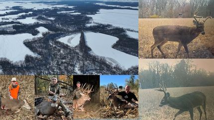 Land for sale in Coles County, Illinois