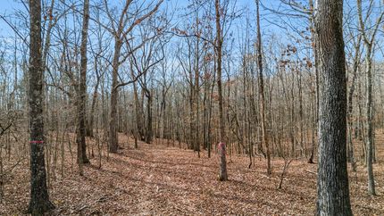 Farm and Ranch for sale in Henry County, Tennessee