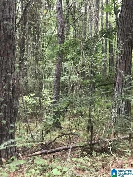 Land for sale in Talladega County, Alabama