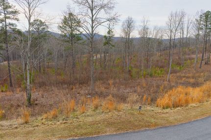 Land for sale in Pickens County, Georgia