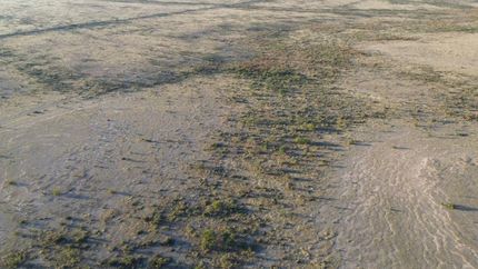 Land for sale in Hudspeth County, Texas