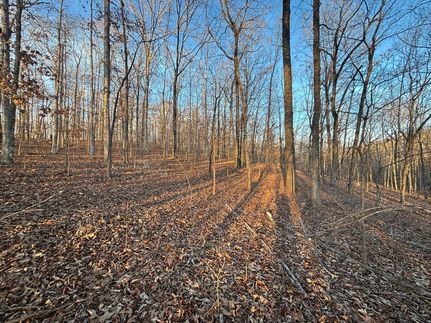 Land for sale in Wayne County, Missouri