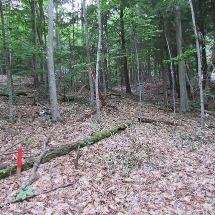 Undeveloped Land for sale in Saratoga County, New York