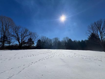 Land for sale in Webster County, Missouri