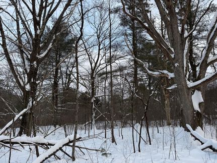 Undeveloped Land for sale in Elk County, Pennsylvania