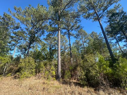 Land for sale in Jackson County, Florida