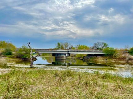 Undeveloped Land in Goliad County, Texas