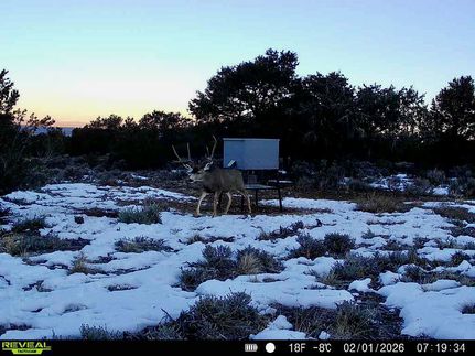 Land for sale in Taos County, New Mexico