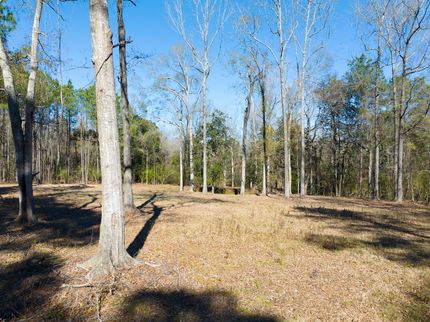 Hunting Property for sale in West Feliciana Parish, Louisiana