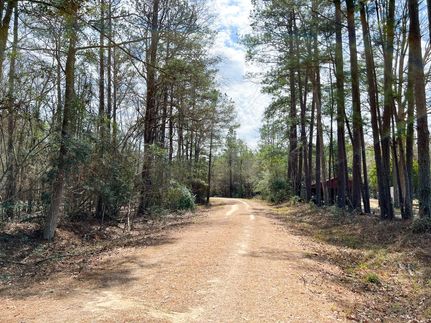 Land for sale in Tyler County, Texas