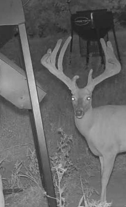 Recreational Property for sale in Pawnee County, Oklahoma