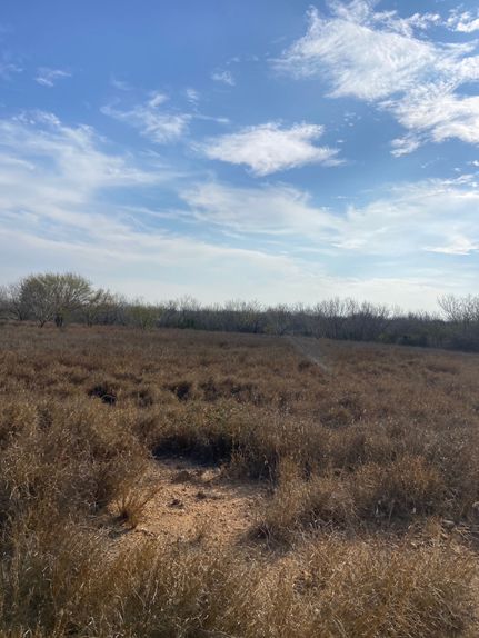 Land for sale in Webb County, Texas