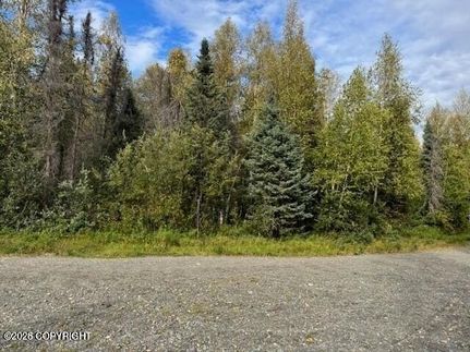 Homesite for sale in Matanuska-Susitna Borough, Alaska