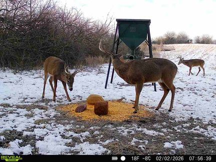 Land for sale in Osage County, Kansas