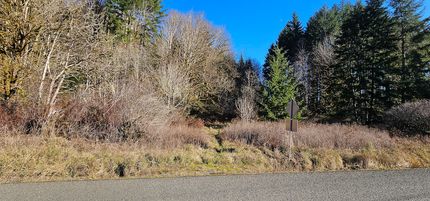 Land for sale in Clatsop County, Oregon