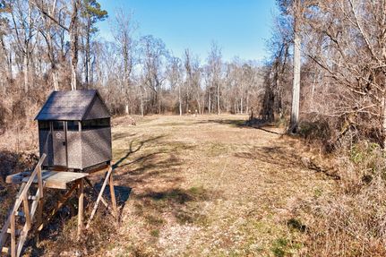 Hunting Property for sale in East Feliciana Parish, Louisiana