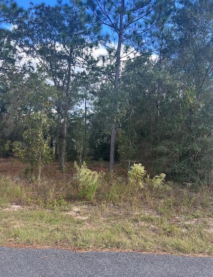 Land for sale in Marion County, Florida