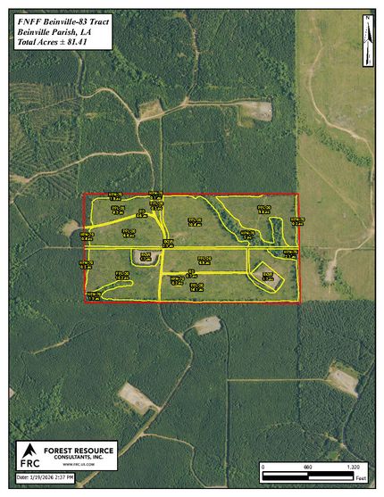 Land for sale in Bienville Parish, Louisiana