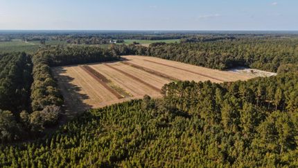 Land for sale in Hampton County, South Carolina